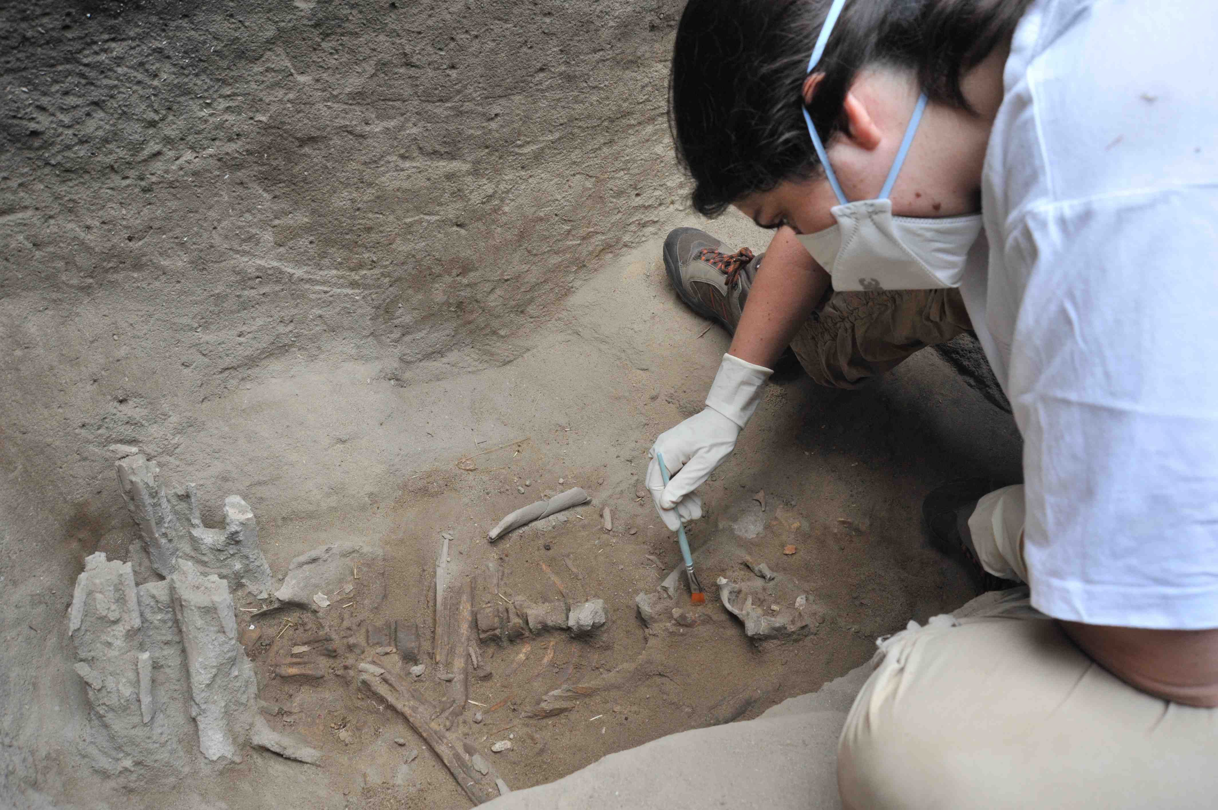 Sepultura de mulher com 8000 anos descoberta em Alcácer do Sal 783751?tp=UH&db=IMAGENS